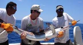 Arranca hoy torneo de pesca Ernest Hemingway en La Habana