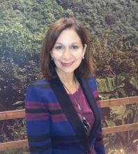 Puerto Rico busca más conectividad, una marca país, mejor servicio e infraestructuras en el turismo