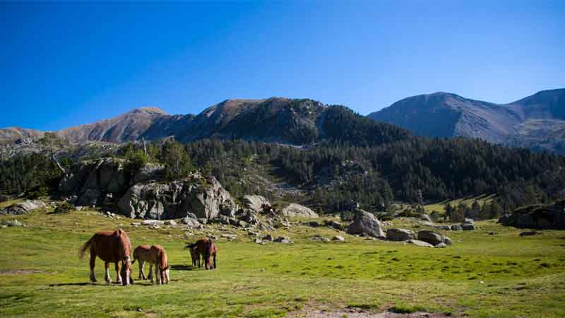 El turismo de nieve y de montaña afronta el reto de renovarse
