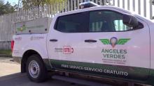 Angeles Verdes