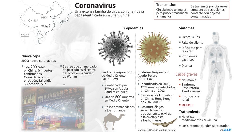 infografia