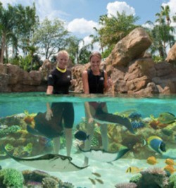 Estados Unidos: Inauguran The Grand Reef en el parque temático Discovery Cove de Orlando