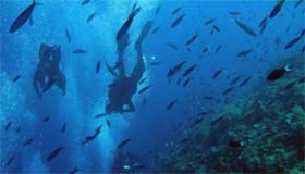 Corredor Biológico en el Caribe ampliará acciones en Cuba