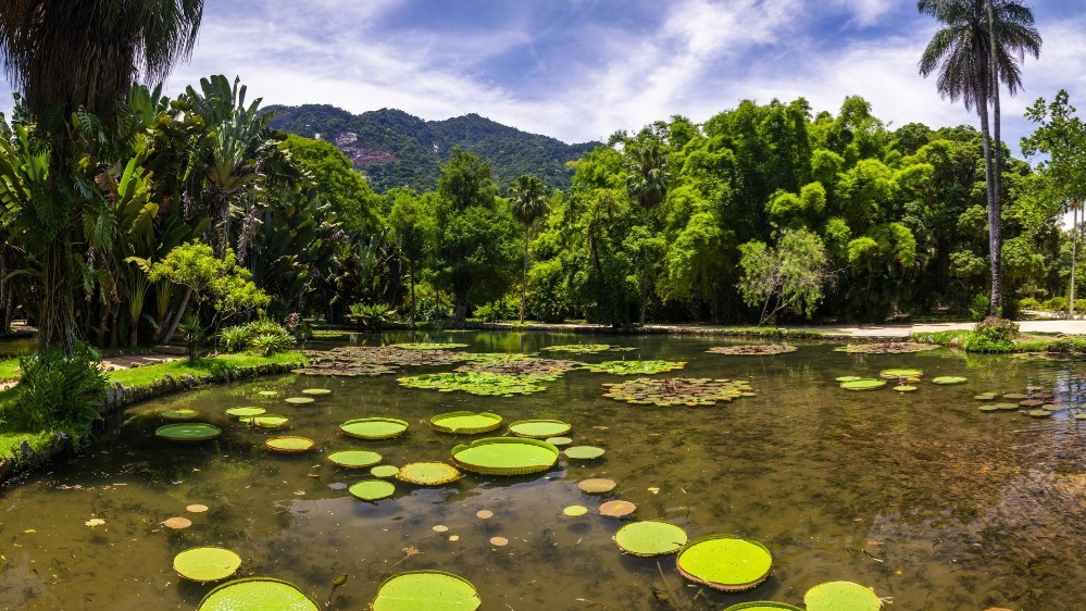 jardines botánicos