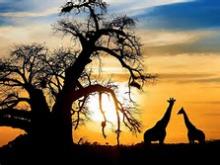 Los 10 países que hay que visitar en 2016, según Lonely Planet