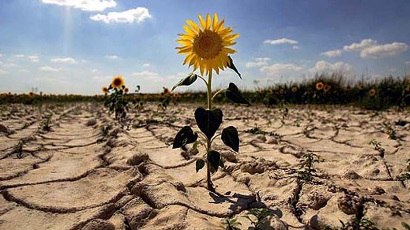 China y Canadá emitirán declaracion conjunta sobre cambio climático