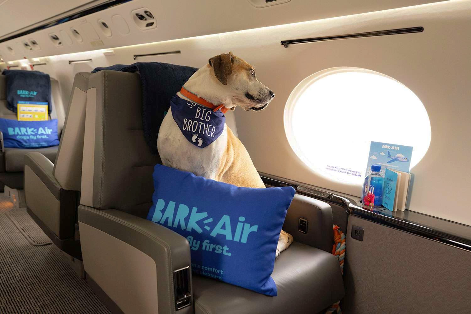 Bark Air
