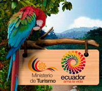 Depreciación de la moneda influyó en descenso de turistas colombianos y peruanos en Ecuador