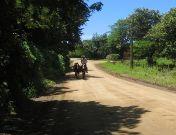 Costa Rica: Naturaleza, mar y cultura tradicional campesina en Guanacaste