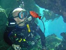 Bahamas propondrá áreas de sus 27 parques nacionales para incluirlas en la red mundial de Reservas de la Biosfera