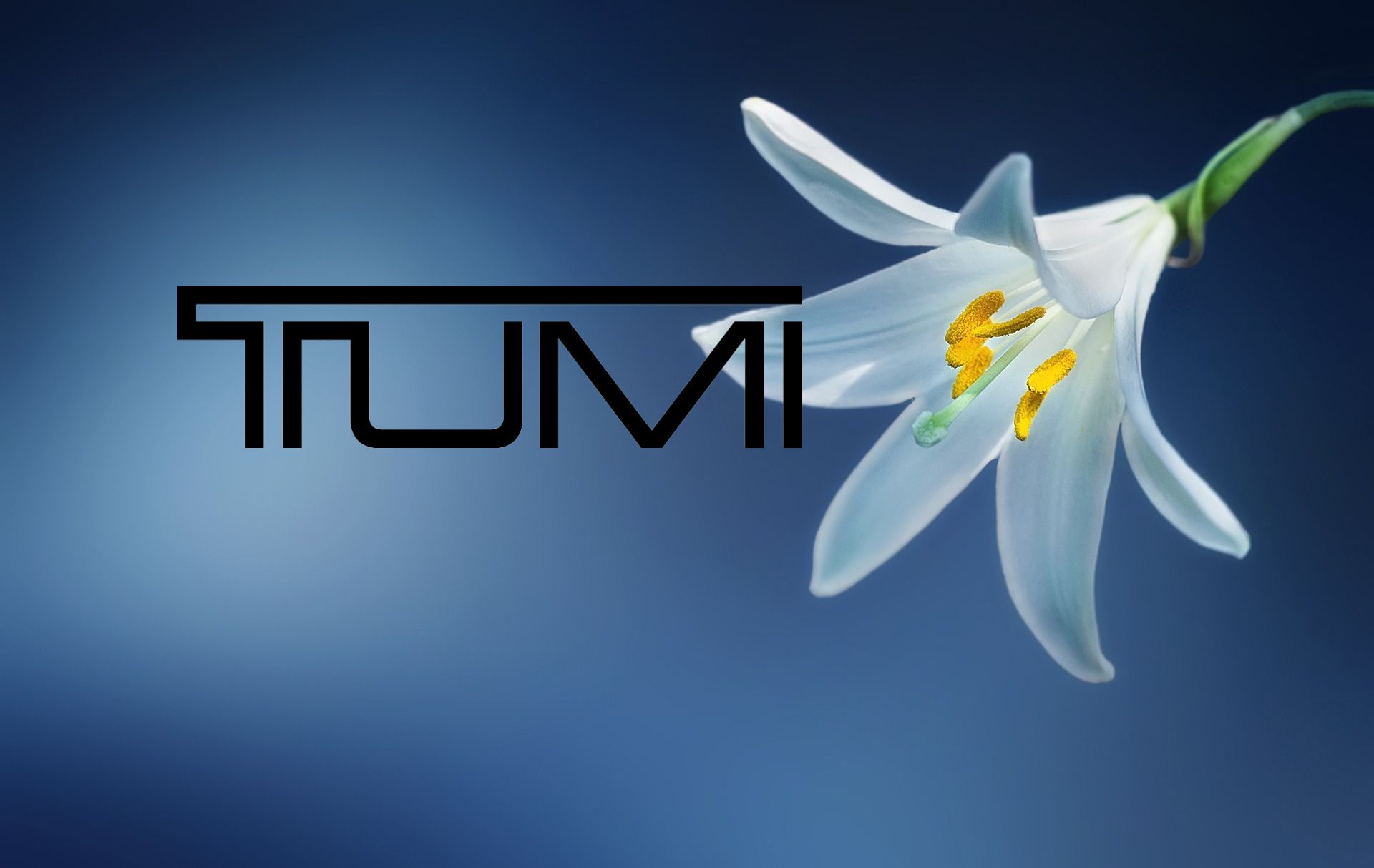 TUMI