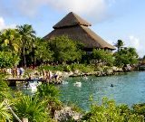 México: Conociendo a los manatíes en Xel-Ha