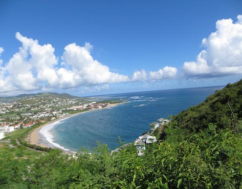 Confirman 20 casos de fiebre chikungunya en St Kitts