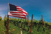 Vinos de Estados Unidos: el placer creciente