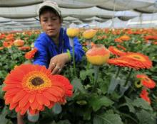 Entra en vigor acuerdo comercial entre Colombia y la Unión Europea