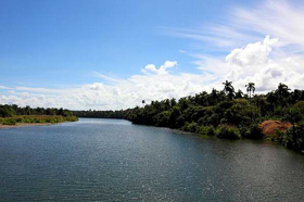 ONU apuesta por conservación de ecosistema montañoso cubano 