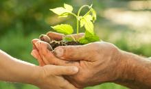 ONU se muestra favorable a un marco de medición del turismo sostenible