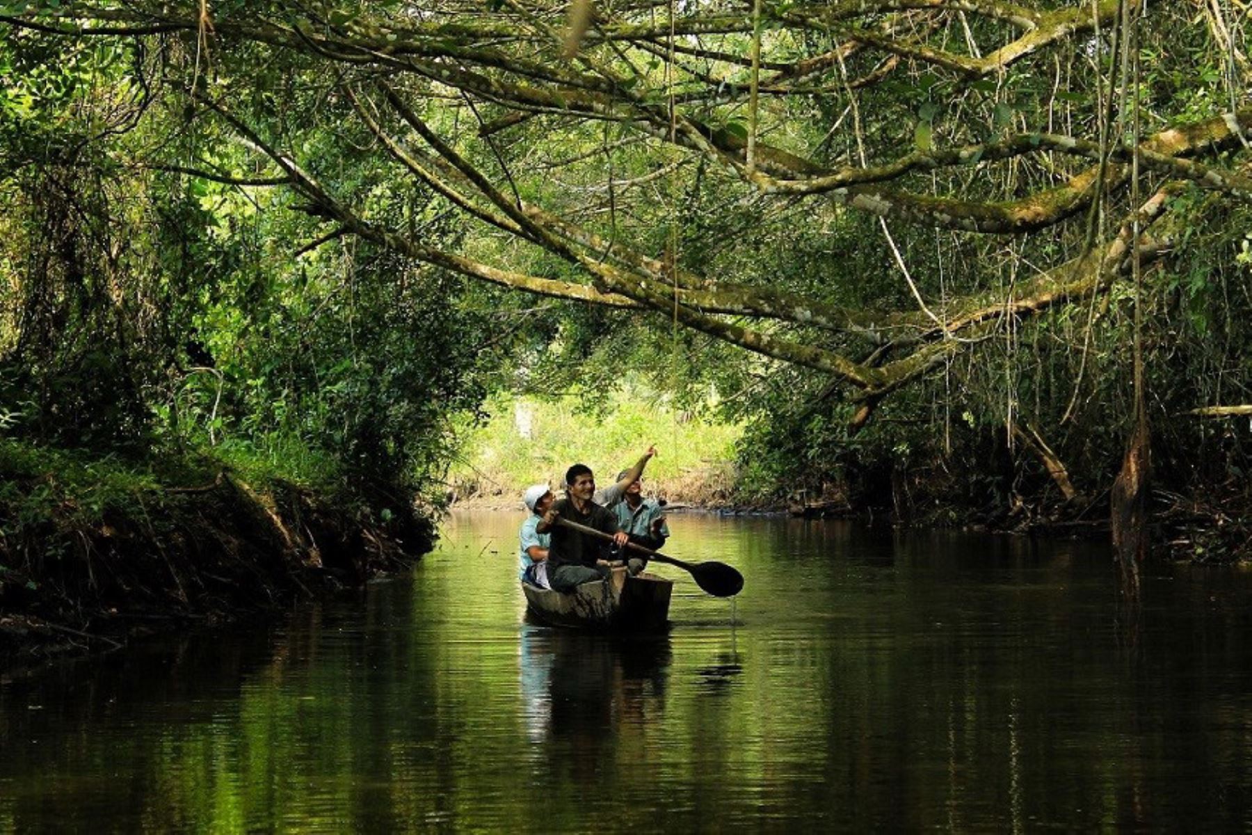 turismo más verde