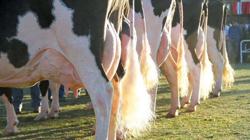 Uruguay explorará el potencial turístico de la “Ruta de la Leche”