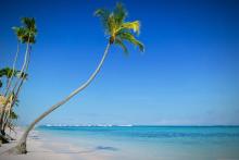 Caribe