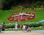 Chile: Viña del Mar, la “ciudad jardín”