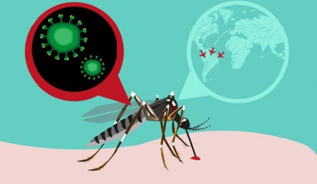 Brasil emprende ofensiva múltiple contra el virus Zika