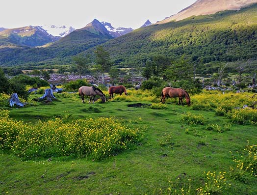 Glamping en Argentina