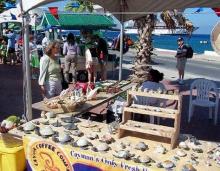 Fuerte invierno en Norteamérica impulsa turismo al Caribe