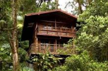 Conectividad aérea promueve turismo chiricano