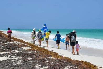 Yucatán sargazo