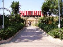 Megafam 2014 de Meier´s: entrevista con Ranses Riffa, de la Agencia Sprachcaffe