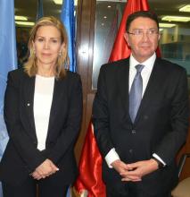 Túnez-OMT: El turismo no se rendirá