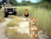 Sudáfrica: Alternando entre el fútbol y el turismo