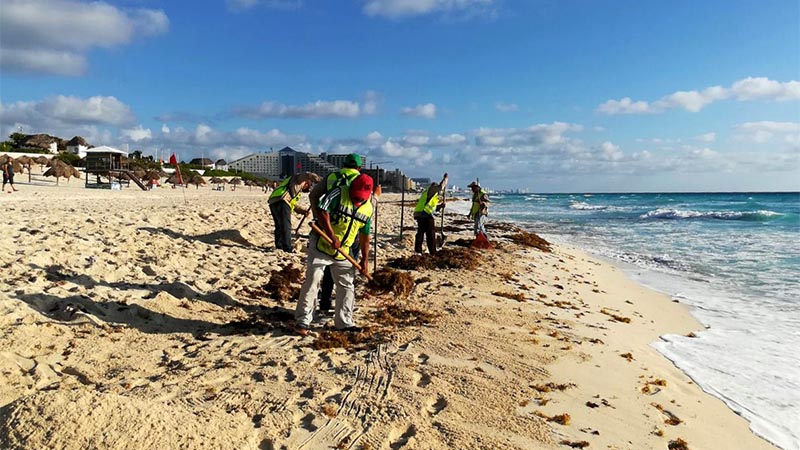 Playa del Carmen pierde turismo por sargazo