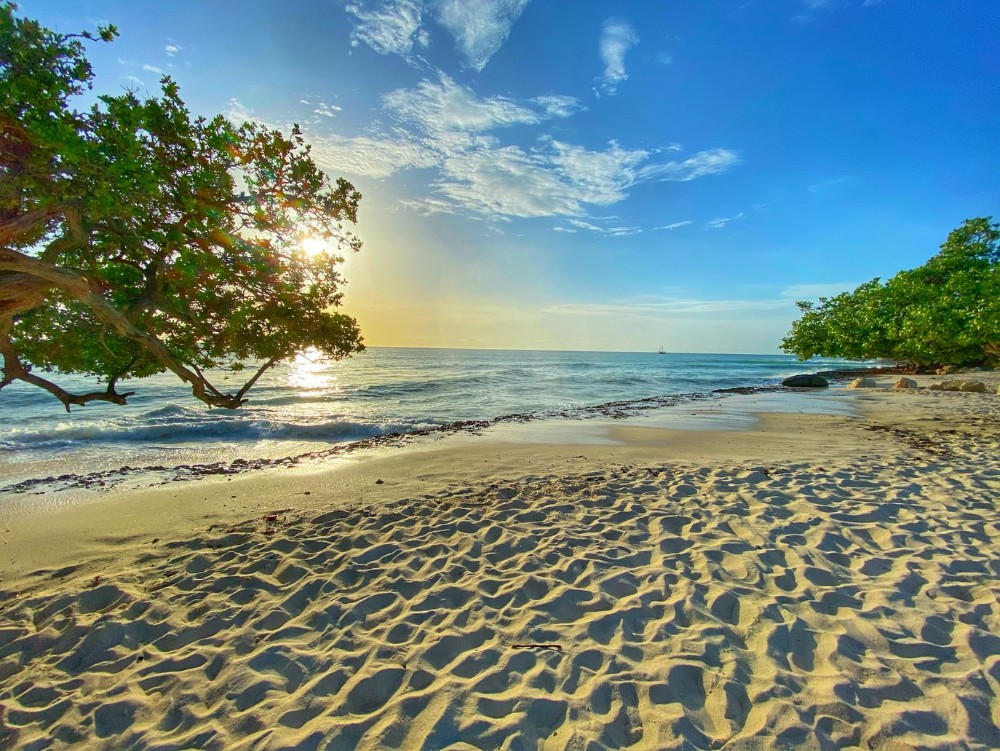 Aruba y Jamaica