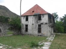 Adentrarse en los cafetales