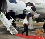 Estados Unidos: Pet Airways ya vuela con mascotas a cinco ciudades de este país