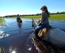 Mato Grosso, el corazón verde de Brasil