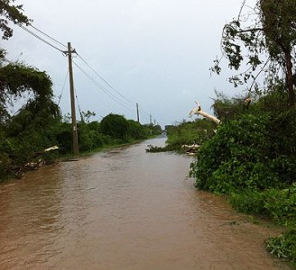 República Dominicana: Sector de viajes y turismo encara el paso del huracán Irene