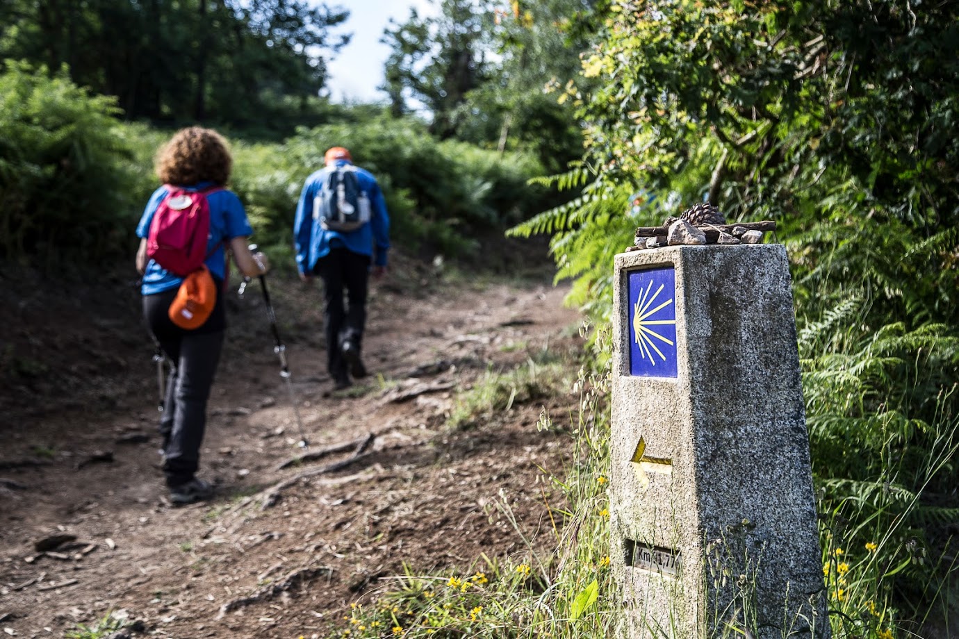 Camino de Santiago