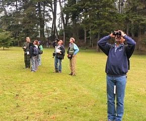 Un 30 por ciento del turismo que llega a Costa Rica asegura disfrutar de sus aves