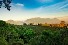 Caribe: rutas reales y volcánicas
