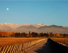 Fiesta de la Vendimia en Mendoza