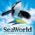 Estados Unidos: Parque marino Seaworld Orlando estrena una novedosa montaña rusa