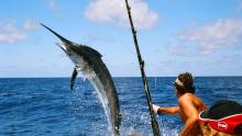 México se posiciona como uno principales destinos para pesca deportiva