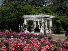 Guía verde para disfrutar Buenos Aires 