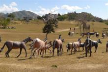 Un lugar para imaginar la prehistoria