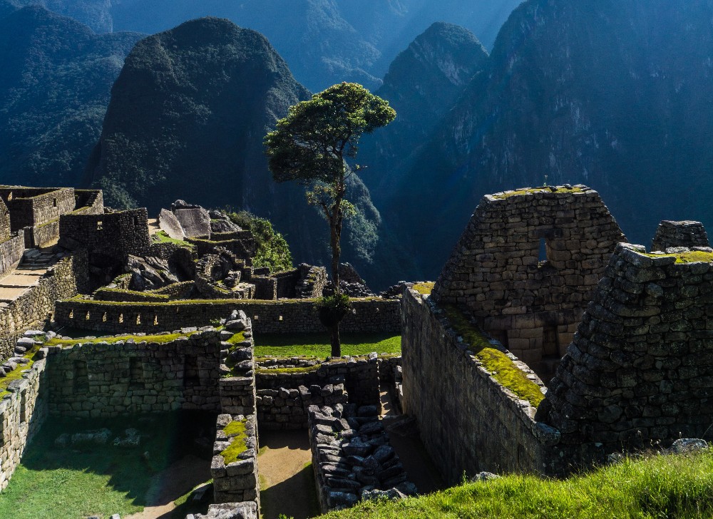 Machu Picchu