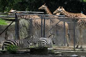 Crecen las opciones de entretenimiento en México