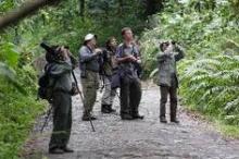 Colombia atrae a columnista del Financial Times por su diversidad aviar y potencialidades para el turismo de naturaleza